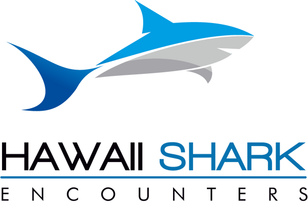 HAWAII SHARK ENCOUNTERS